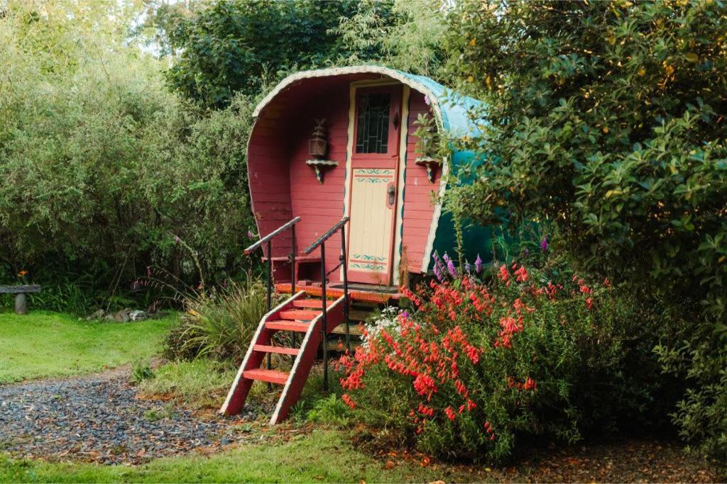 Pekapeka Tiny House By Tiny Away Villa Owaka Luaran gambar